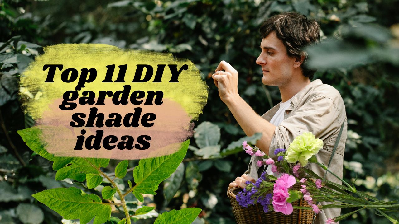 Top 11 DIY Garden Shade Ideas of 2024