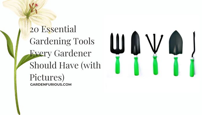 20 Essential Gardening Tools Every Gardener Should Have (with Pictures)