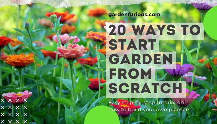 20 Simple Ways to Start a Garden from Scratch (Even on a Budget)