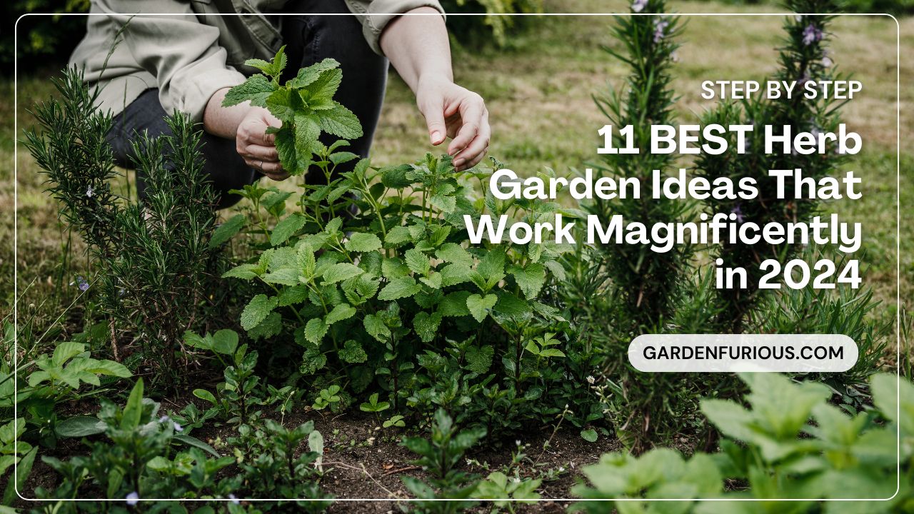 11 BEST Herb Garden Ideas That Work Magnificently in 2024