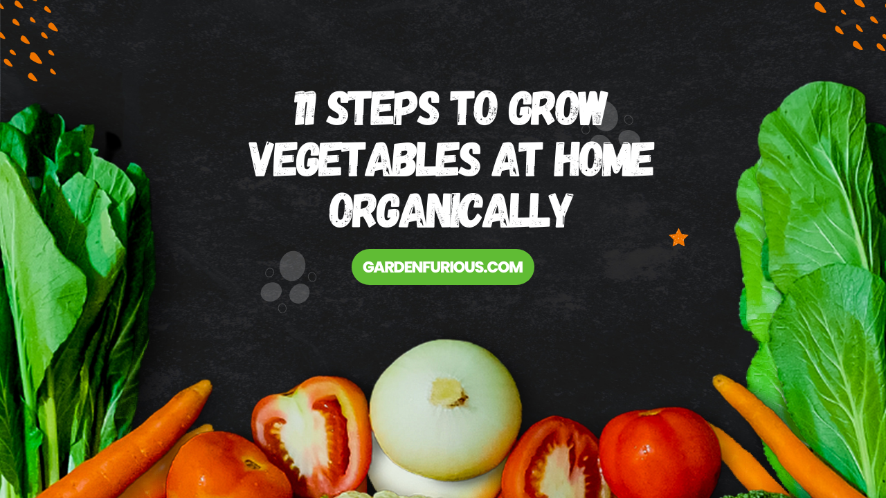 11 Steps to Grow Vegetables at Home Organically (Even if You’re a Beginner!)