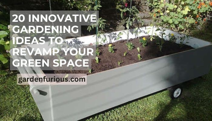 20 Innovative Gardening Ideas to Revamp Your Green Space