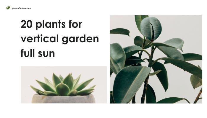 20 Amazing Plants for Vertical Gardens That Love Full Sun