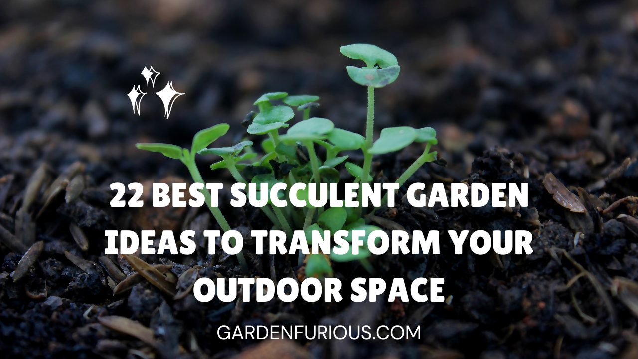 22 Best Succulent Garden Ideas to Transform Your Outdoor Space