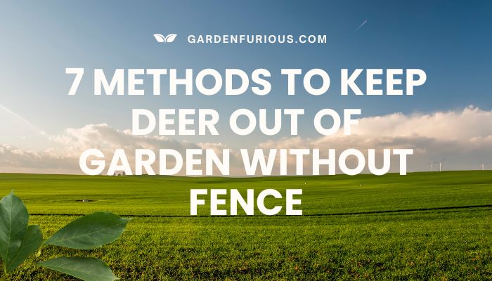 7 methods to keep deer out of garden without fence