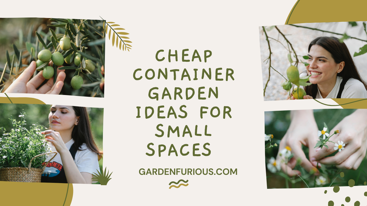 Cheap Container Garden Ideas