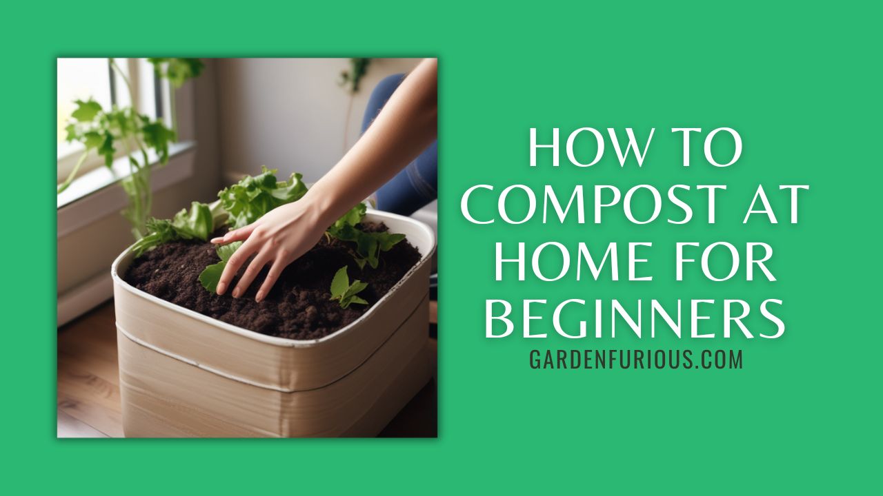 How to Compost at Home for Beginners