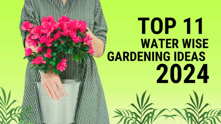 Top 11 Water Wise Gardening Ideas for 2024