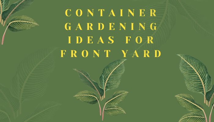 Container Gardening Ideas for Your Front Yard