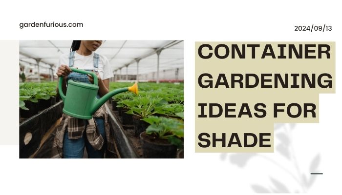 Container Gardening Ideas for Shade