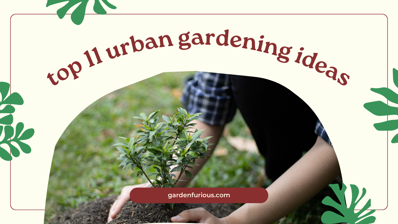 Top 11 Urban Gardening Ideas You Need to Try in 2024