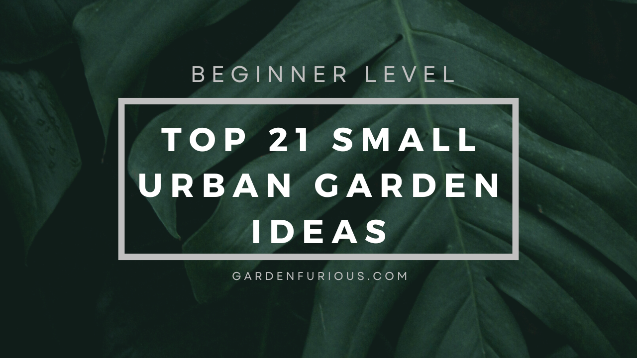 Top 21 Small Urban Garden Ideas That Will Transform Your Space