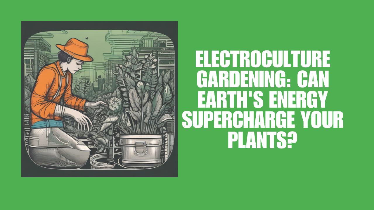 Electroculture Gardening: Can Earth’s Energy Supercharge Your Plants?